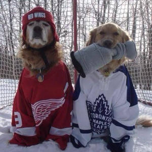 Братья меньшие