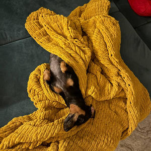 Братья меньшие