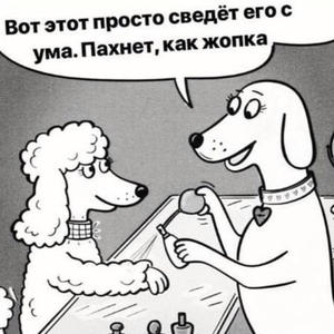 Братья меньшие