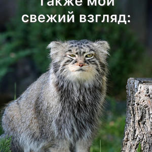 Братья меньшие