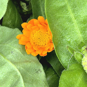 Всякое разное