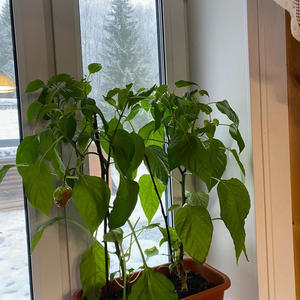 Про Селигер