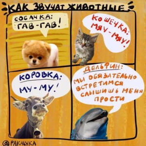 Братья меньшие