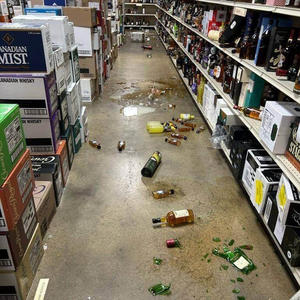 Братья меньшие