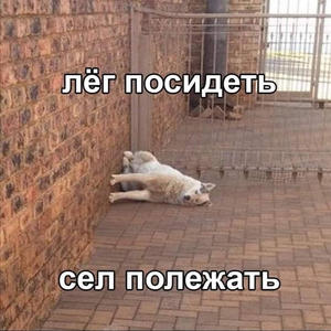 Братья меньшие