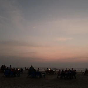 Пикейные жилеты