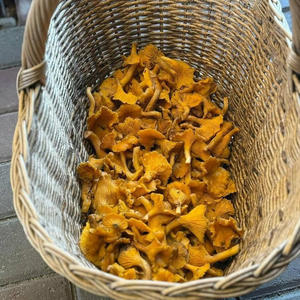 Всякое разное