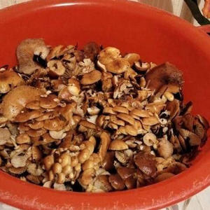 Всякое разное