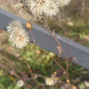 Всякое разное