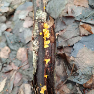 Про Селигер