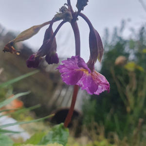 Про Селигер