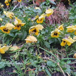 Про Селигер