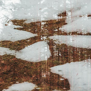 Снег тает, лес отражается