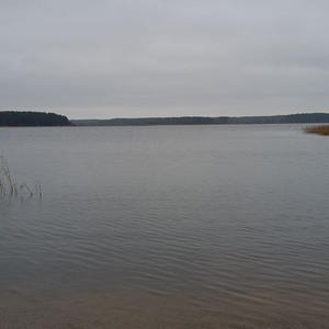 Про Селигер