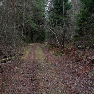 Про Селигер