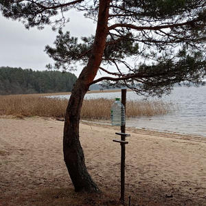 Про Селигер