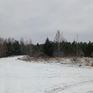 Про Селигер