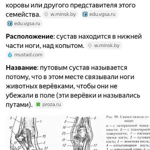 Вкуснотень