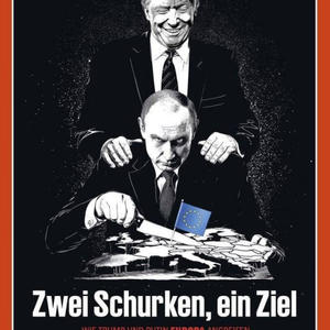 Пикейные жилеты