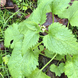 Всякое разное