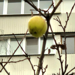 Всякое разное