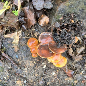 Всякое разное