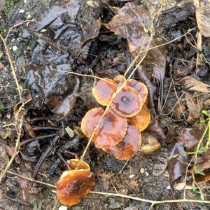 Всякое разное