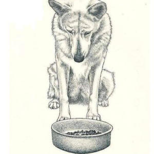 Братья меньшие