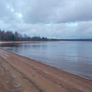 Зимний берег, где вода встречается с землёй