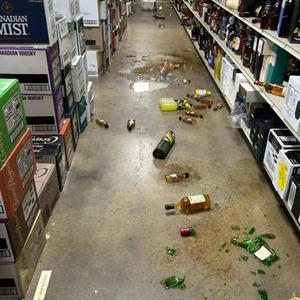 Братья меньшие