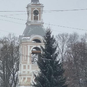 В Осташкове началась установка новогодних ёлок в общественных местах