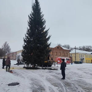 В Осташкове началась установка новогодних ёлок в общественных местах