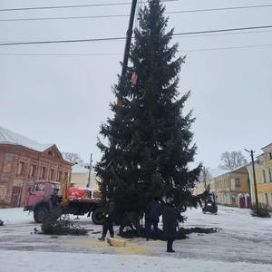В Осташкове началась установка новогодних ёлок в общественных местах