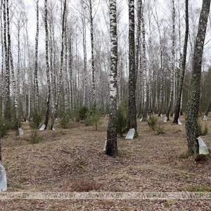 Вкуснотень