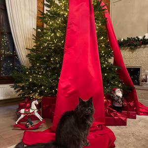 Братья меньшие