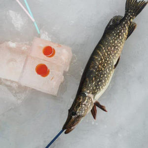 Про Селигер