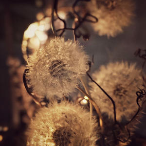 Всякое разное