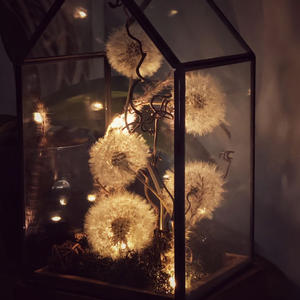 Всякое разное