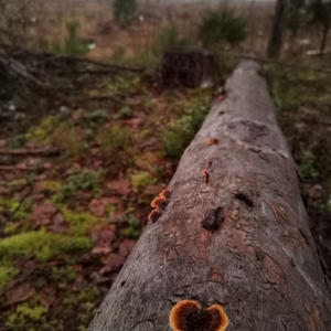 Про Селигер