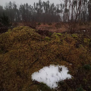 Про Селигер