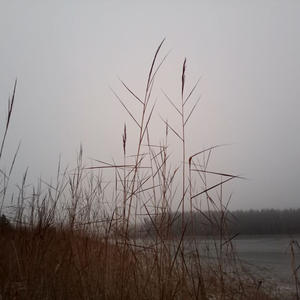 Про Селигер