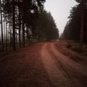 Про Селигер