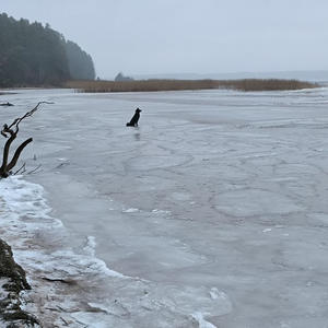 Про Селигер