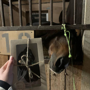 Всякое разное