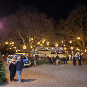 Пикейные жилеты