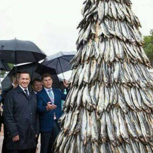 Всякое разное