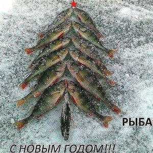 Всякое разное