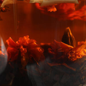 Вкуснотень