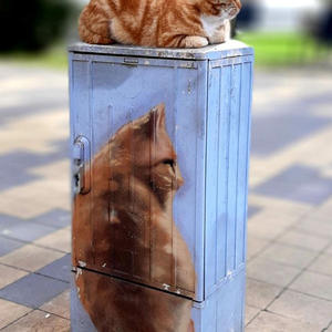 Путешествия