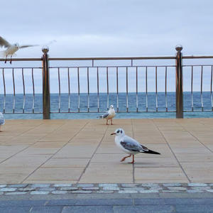 Путешествия